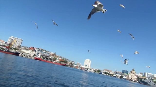 #морскойпорт #владивосток #vladivostok #морскаяпрогулка #экскурсия  МОРСКАЯ ПРОГУЛКА / VLADIVOSTOK