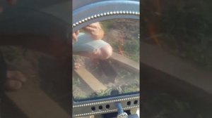 Печь банная Везувий Ураган 22 205 первая растопка