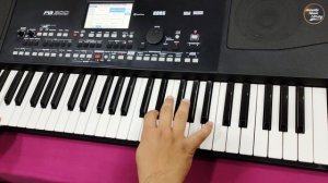 Bhajan Style | KORG PA-300 | Rhythm Demo