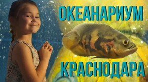 ОКЕАНАРИУМ КРАСНОДАРА/ КРУПНЕЙШИЙ ОКЕАНАРИУМ ЮГА РОССИИ/ ТРЦ ГАЛАКТИКА