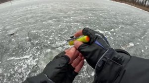 Пошуки РИБИ на просторах ріки ДНІПРО. ❄️🐟🎣 Плотва на БАЛАНСИР, окунь на БЕЗМОТИЛКУ.