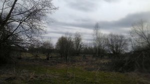 Наша деревня медвежьего угла Костромской области. Октябрьский район.