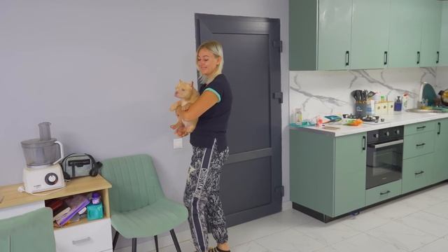 Самые дорогие щенки! Первые 24 часа жизни щенков! Приняла ли их мать? смотреть онлайн