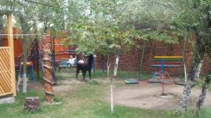 Кусары ресторан шахнабат