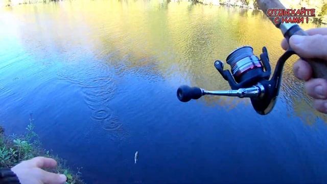 ОКУНЬ НА ОТВОДНОЙ ПОВОДОК. Река Цивиль. #Рыбалка в сентябре. смотреть онлайн