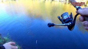 ОКУНЬ НА ОТВОДНОЙ ПОВОДОК. Река Цивиль. #Рыбалка в сентябре.