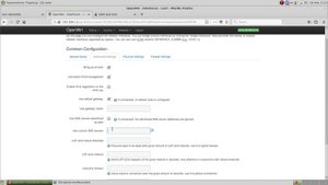 Настройка DNS OpenWrt Settings DNS for OpenWrt