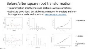 028j Transformation and regression