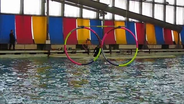 arew1460 Дельфинарий.mkv.mp4 смотреть онлайн