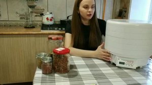 Вольтера 500 с таймером, обзор.