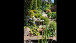 Прогулка в хвойном саду.