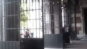 Классическая музыка на баяне, под Рексмузеем