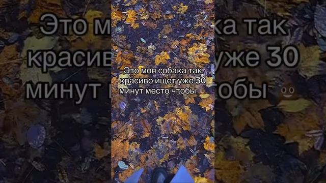 Заботится обо мне, чтобы я на свежем воздухе подольше побыла?