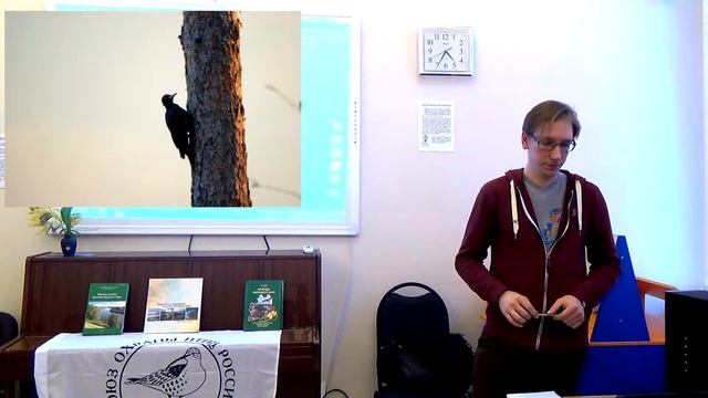 Пернатая гвардия.  Птицы Липецкой области