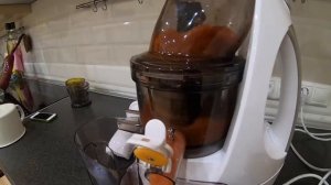 Обзор шнековой соковыжималки Kitfort KT-1104