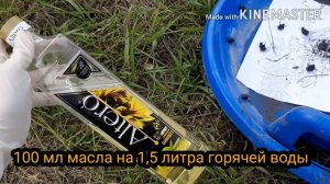 Жук стригун борьба. Три проверенных способа борьбы с жуком!!!!