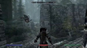 Skyrim Spider Post Death Rebuttal