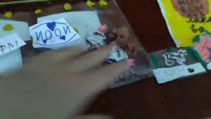 бумажные собаки