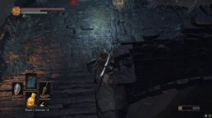 Скип локации Подземелье Иритила Dark Souls 3