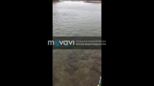 Ловля крупной тарани на  поплавочную удочку зимой 2019