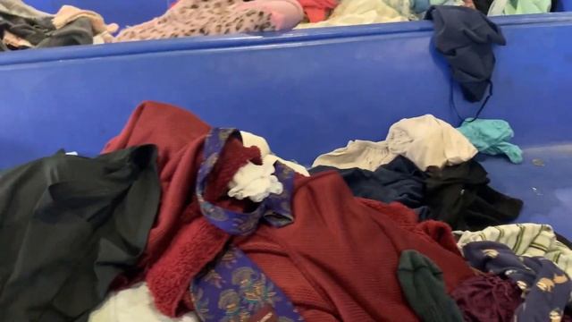 Секонд хенд в США. Поход на свалку. Ищу клад на барахолке. Обзор находок. Как будто в зоопарке. смотреть онлайн