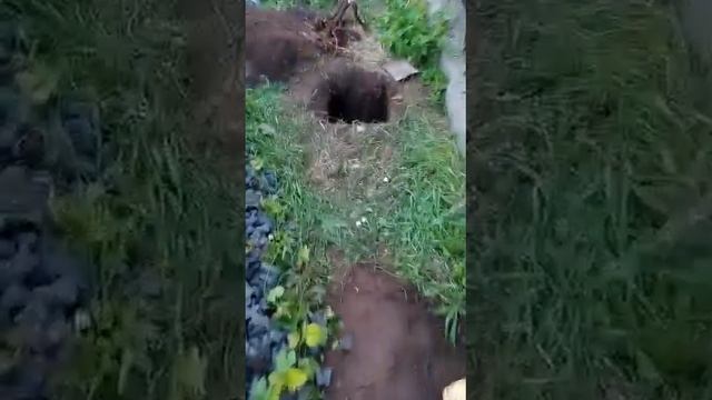 Установка столбов под навес. ч.1 копка смотреть онлайн