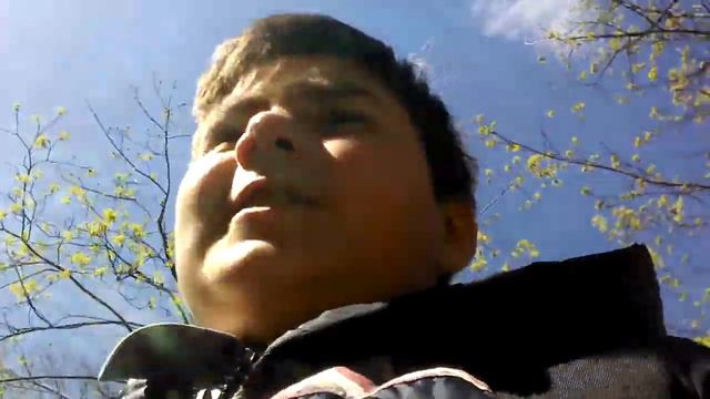 Донатить или нет??Только Твоё решение смотреть онлайн