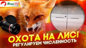 Регулируем численность хищника в Беларуси! Охота с Евгением Голубевым.