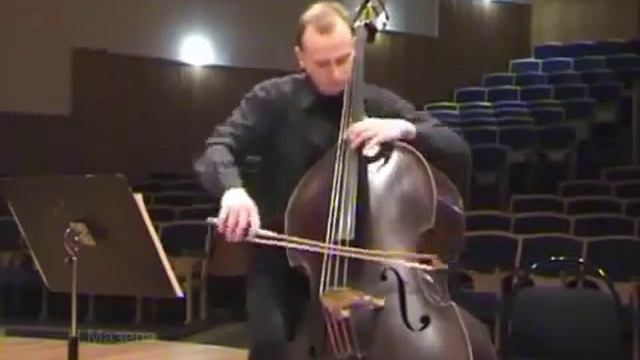 Струнные смычковые музыкальные инструменты  Звучание