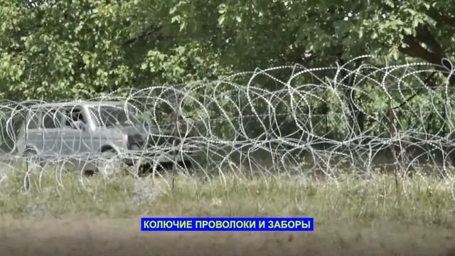 Дорогой россиянин в Грузии! Это видео для тебя. Пограничная ZONA Автор Егор Куроптев. смотреть онлайн
