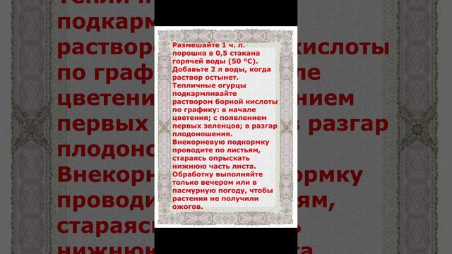 как правильно опрыскивать борной кислотой рассаду Огурцов.