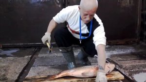 Сазан, чистим керхером