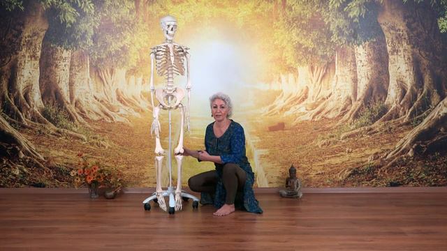 Yoga Anatomi - Alt Ekstrem смотреть онлайн