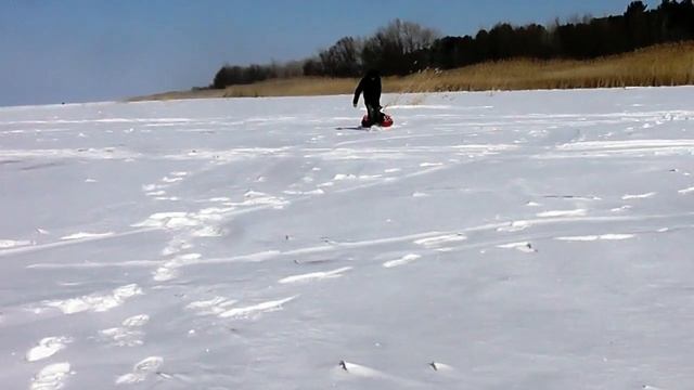 Стихи приморских поэтов. Татьяна Васяева - «Зима красавица». Читает Ольга Наследникова смотреть онлайн