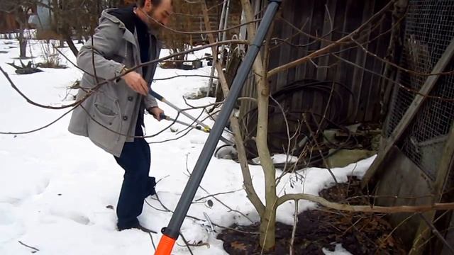 Обрезка деревьев . Грецкий орех. Весна смотреть онлайн