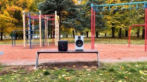 JBL Encore и самодельная колонка