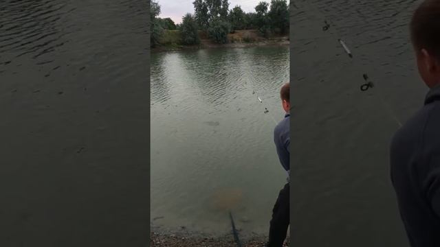Рыбалка село Васильевка Бишкек