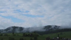 Биоцентризм: Свет и действия (глава 4)