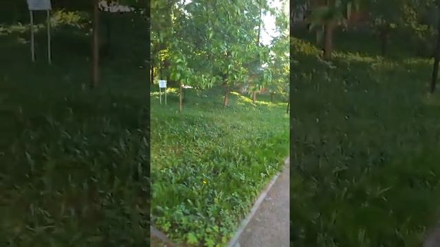 УСАДЬБА БОЛЬШИЕ ВЯЗЕМЫ ЗАРИСОВКИ МАЙ 2019