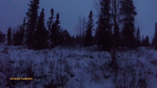 ЛОДКА РЫБАЛКИ разбилась о быт. Навожу порядок в избе | Day by day fishing смотреть онлайн