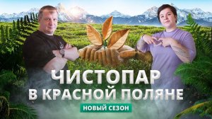 Чистопар: НОВЫЙ СЕЗОН | Красная Поляна, Сочи, Новороссийск