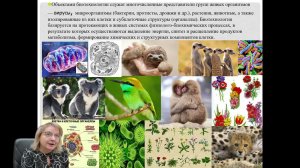 Достижения современной биотехнологии