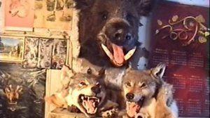 Изготовление чучела птицы (таксидермия)