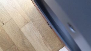 Infinity Primus PS-8 subwoofer - Pure Bass Test in 4k