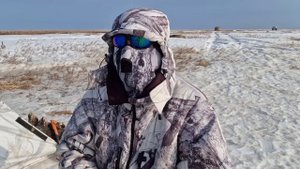 Охота на гусей 2023. Вектор на север...