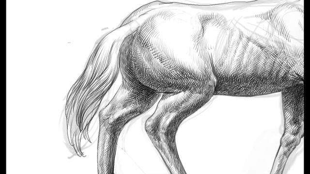 Секреты рисования кентавра: профессиональный подход художника. смотреть онлайн