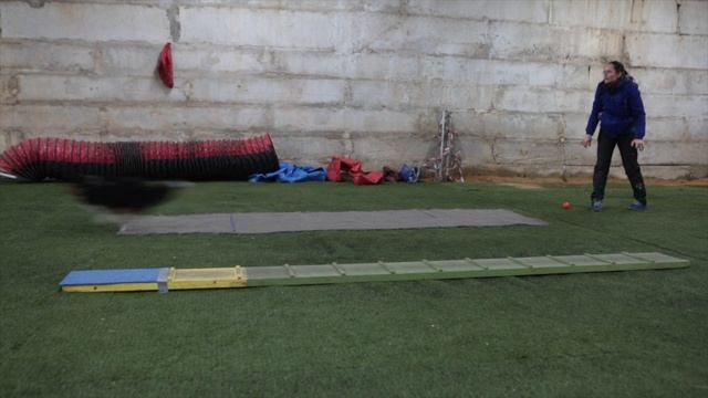 Nera 13.11.2020 смотреть онлайн