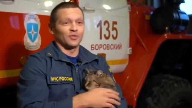 У пожарных поселка Боровский появился служебный кот смотреть онлайн