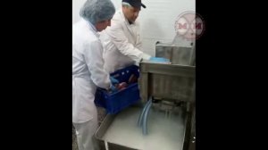 Инъектор автоматический ФИП-33