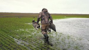 Осенняя ОХОТА НА КОСУЛЮ в Оренбургской области